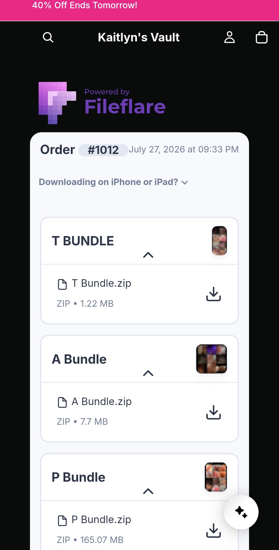 A Bundle